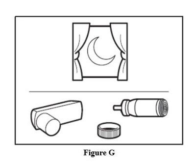 Figure G (Figure G)